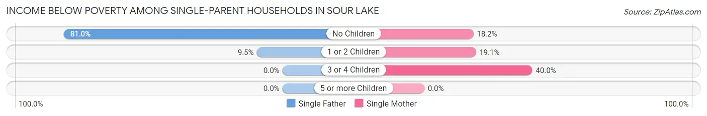 Income Below Poverty Among Single-Parent Households in Sour Lake
