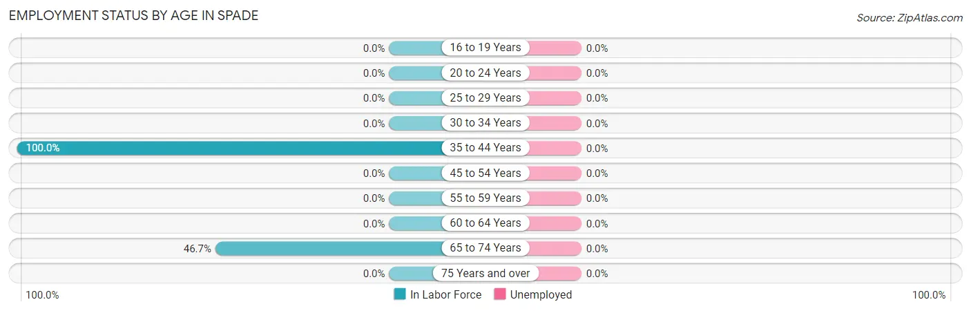 Employment Status by Age in Spade