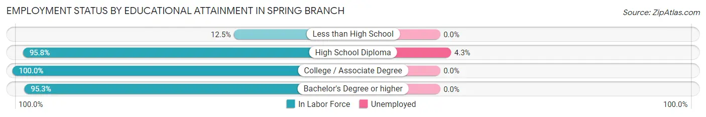 Employment Status by Educational Attainment in Spring Branch