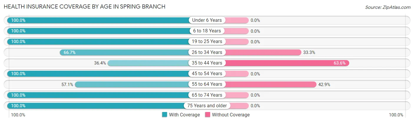 Health Insurance Coverage by Age in Spring Branch