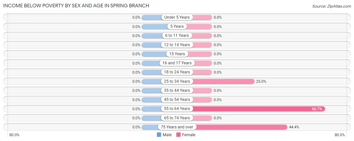 Income Below Poverty by Sex and Age in Spring Branch