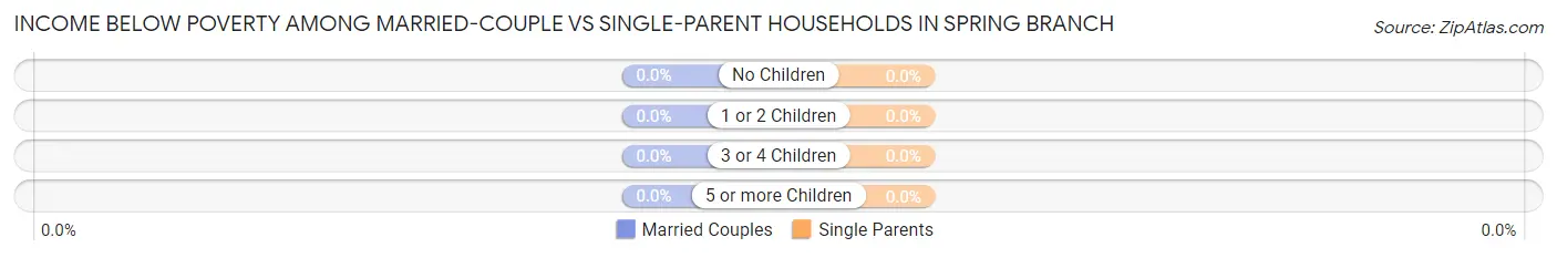 Income Below Poverty Among Married-Couple vs Single-Parent Households in Spring Branch