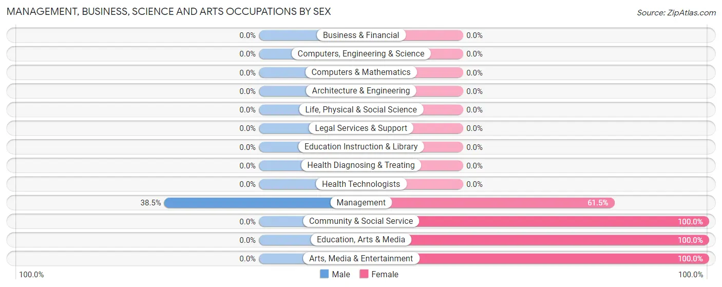 Management, Business, Science and Arts Occupations by Sex in Spring Branch