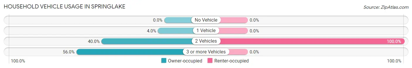 Household Vehicle Usage in Springlake