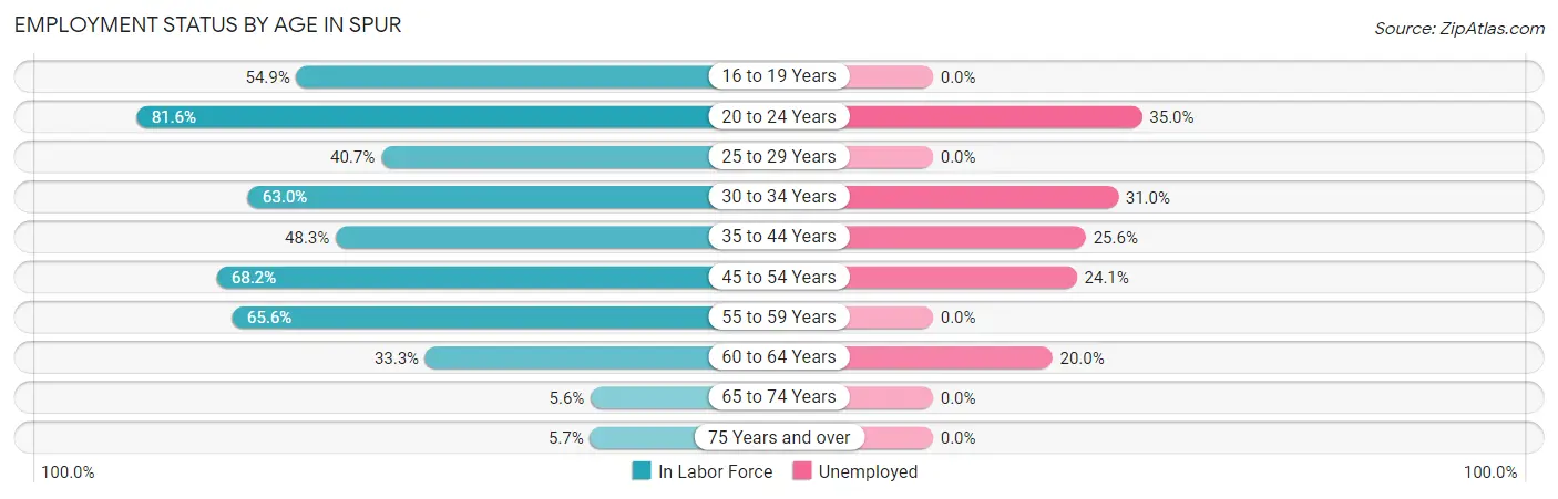 Employment Status by Age in Spur