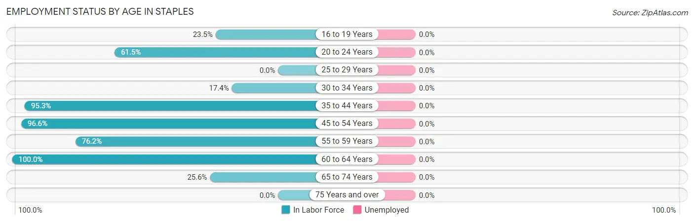 Employment Status by Age in Staples