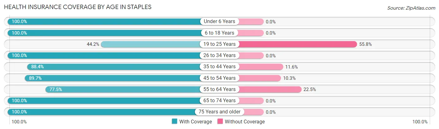 Health Insurance Coverage by Age in Staples