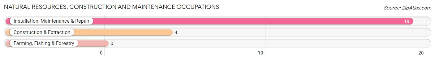 Natural Resources, Construction and Maintenance Occupations in Staples