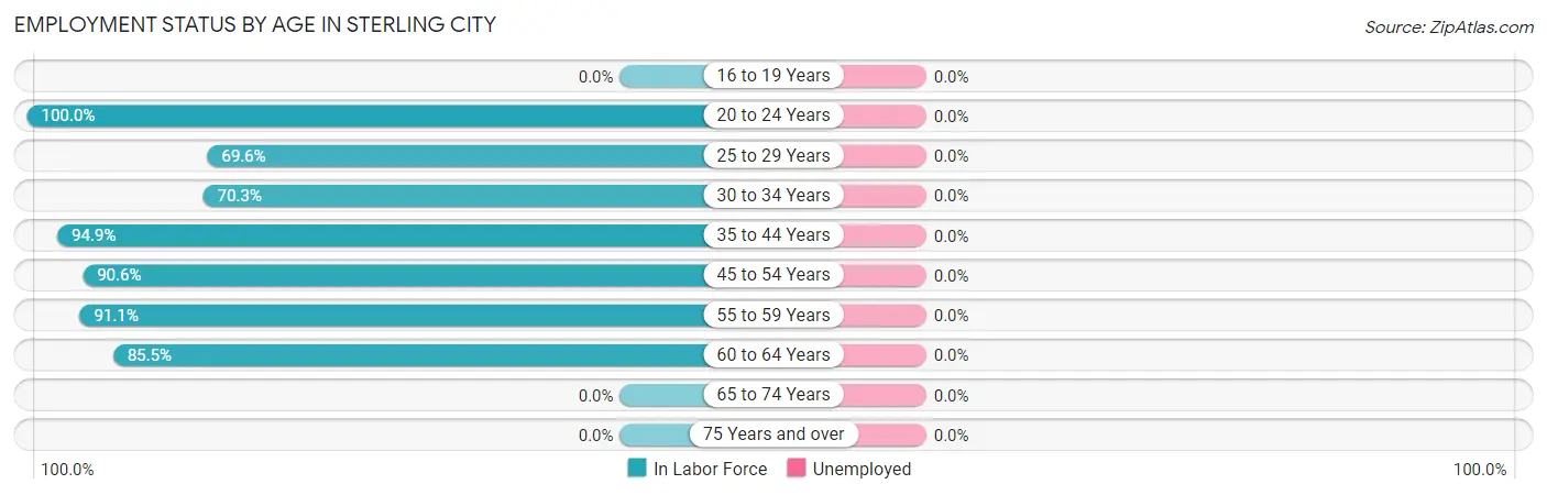 Employment Status by Age in Sterling City