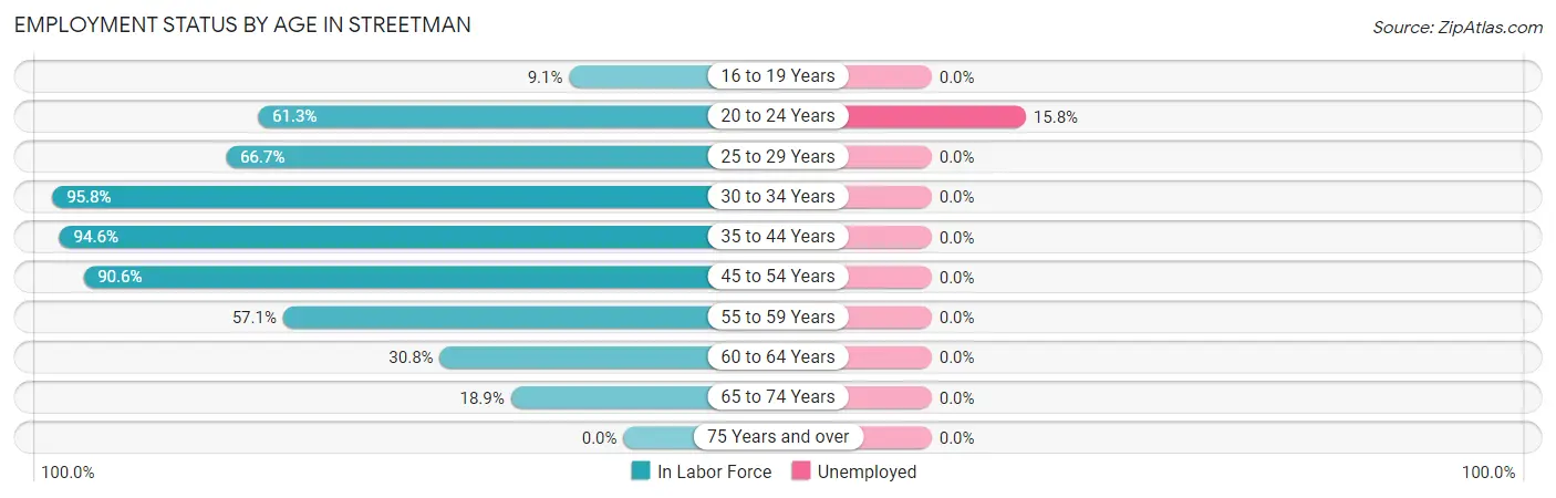 Employment Status by Age in Streetman