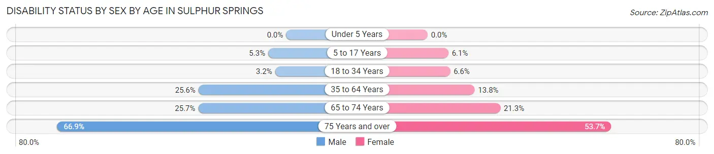 Disability Status by Sex by Age in Sulphur Springs