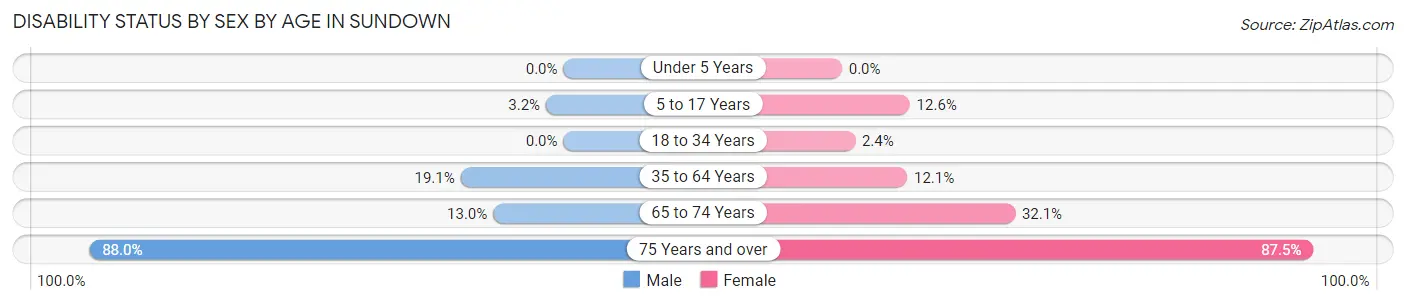 Disability Status by Sex by Age in Sundown