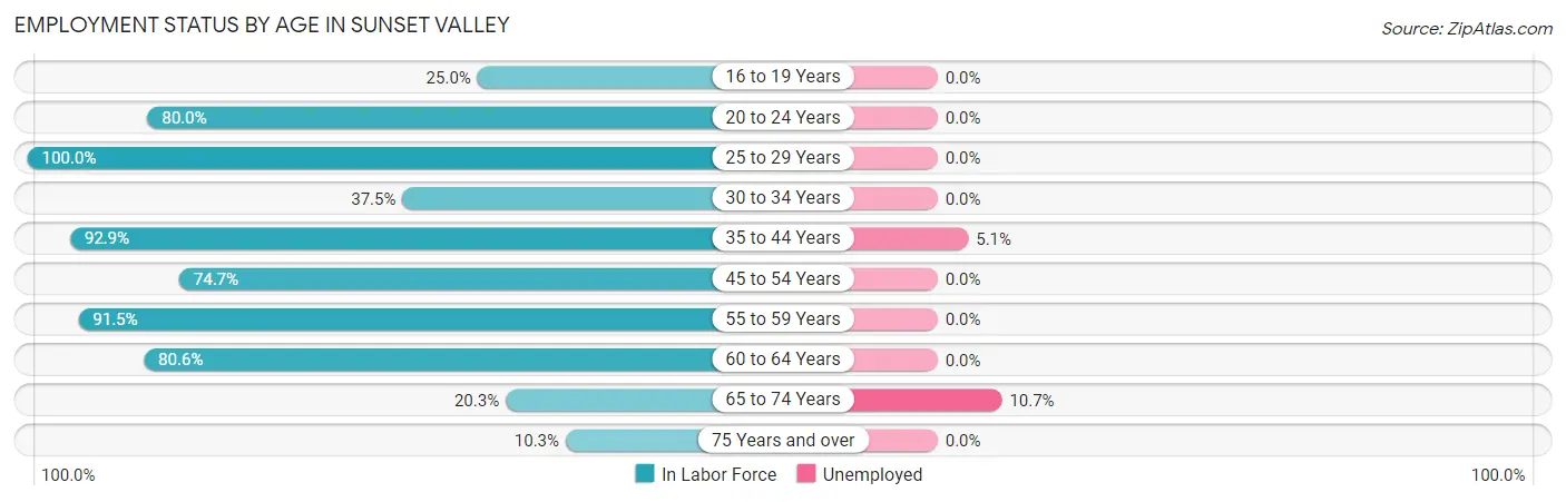 Employment Status by Age in Sunset Valley