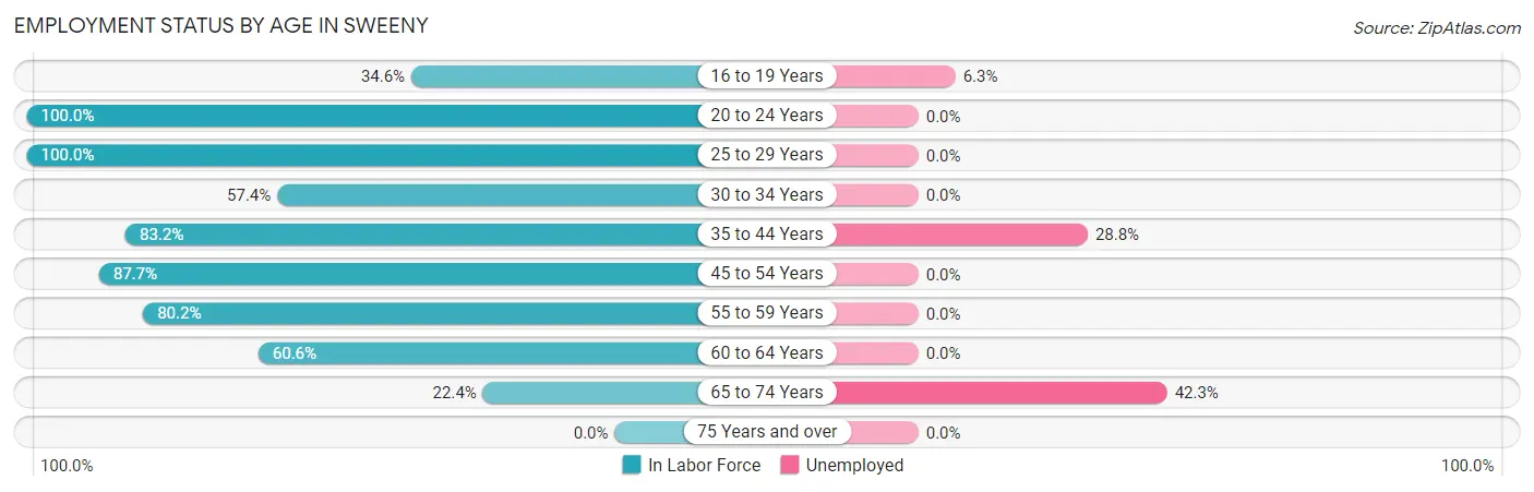 Employment Status by Age in Sweeny