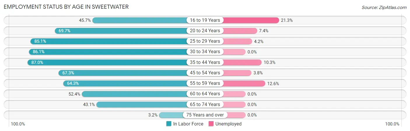 Employment Status by Age in Sweetwater