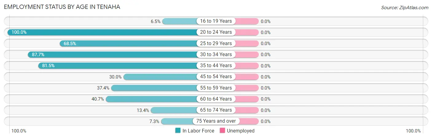 Employment Status by Age in Tenaha