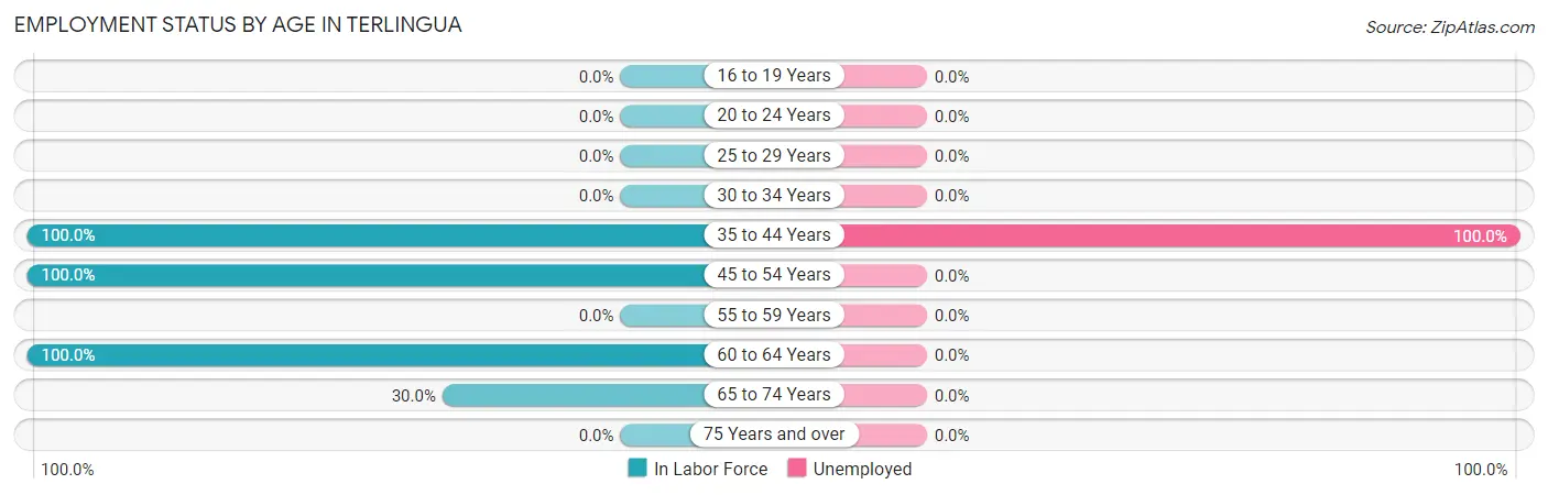 Employment Status by Age in Terlingua