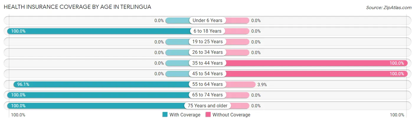Health Insurance Coverage by Age in Terlingua