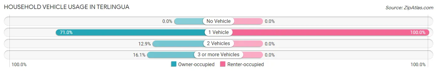 Household Vehicle Usage in Terlingua