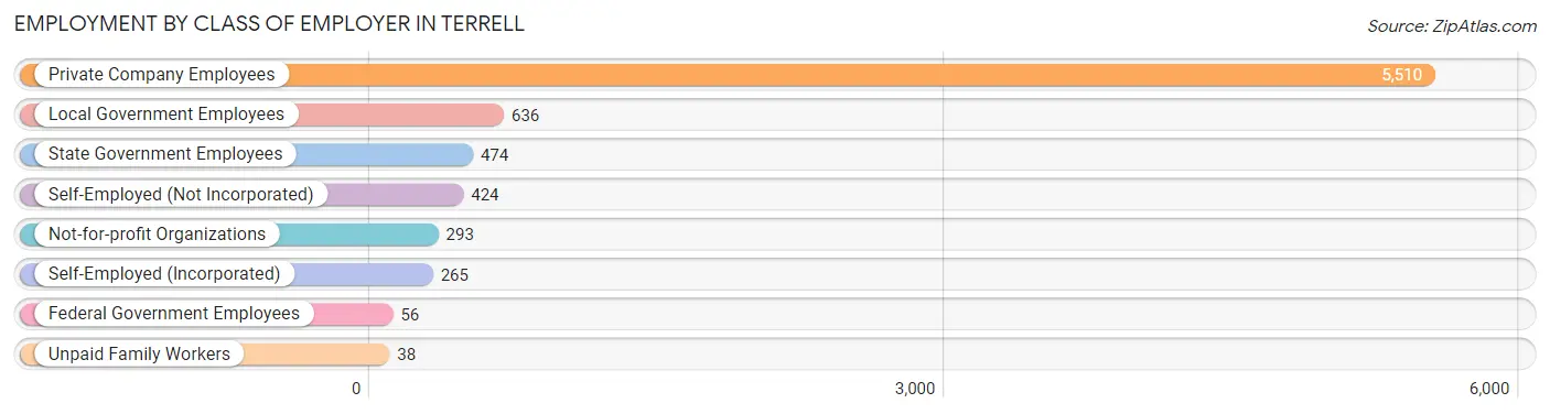 Employment by Class of Employer in Terrell