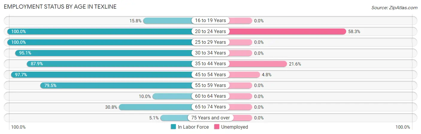 Employment Status by Age in Texline