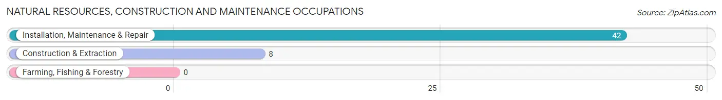 Natural Resources, Construction and Maintenance Occupations in Tioga