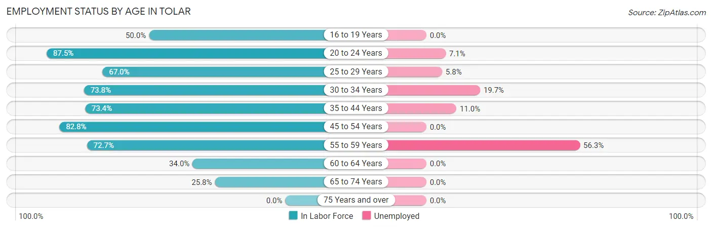 Employment Status by Age in Tolar
