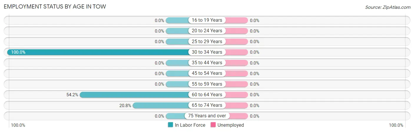 Employment Status by Age in Tow