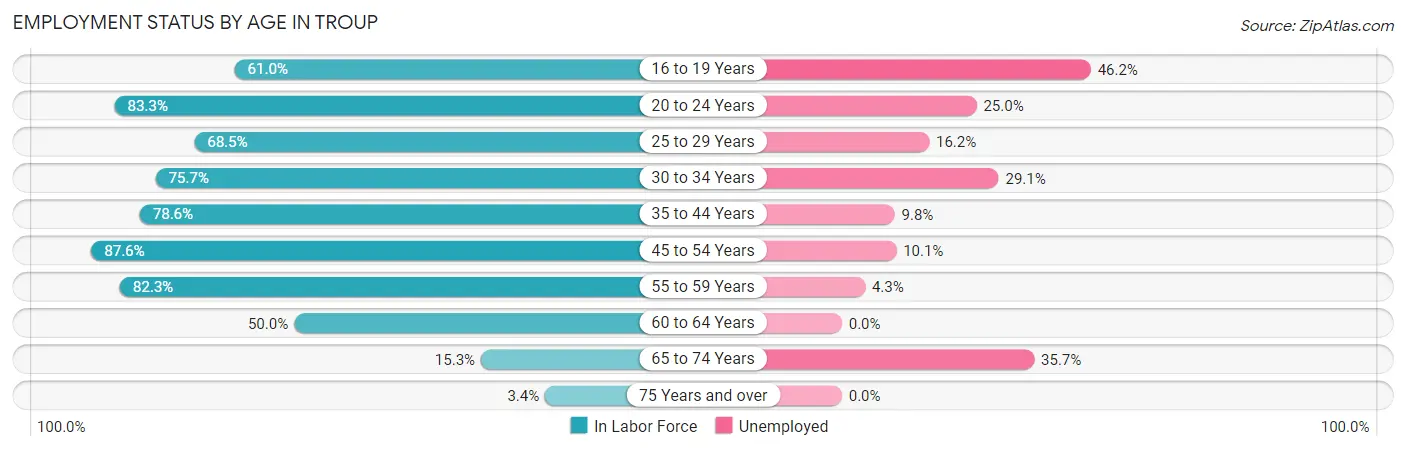 Employment Status by Age in Troup
