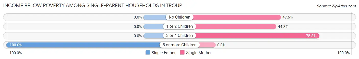 Income Below Poverty Among Single-Parent Households in Troup