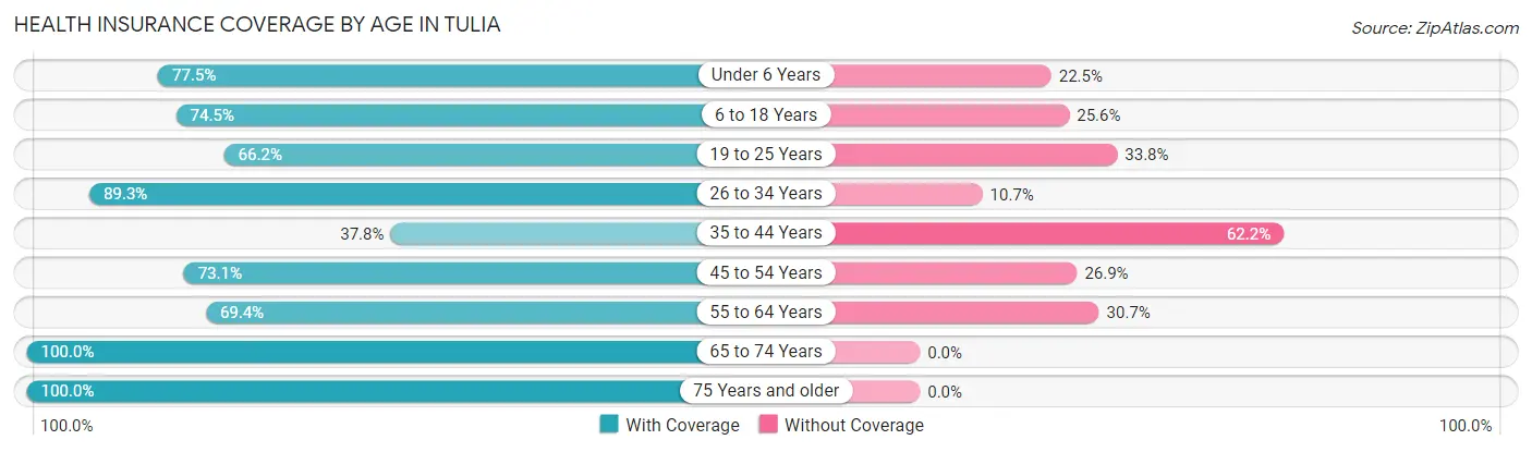 Health Insurance Coverage by Age in Tulia