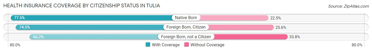 Health Insurance Coverage by Citizenship Status in Tulia