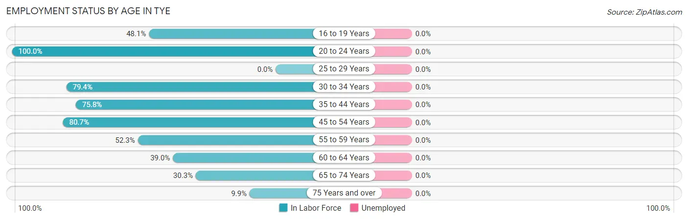 Employment Status by Age in Tye