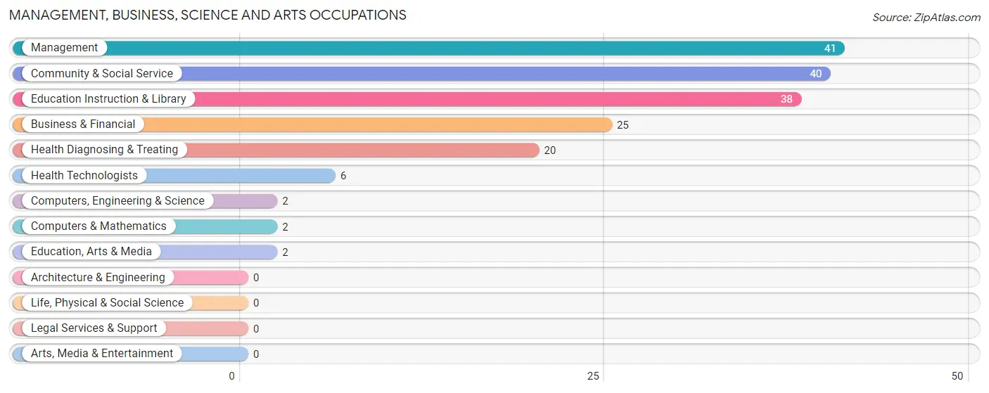 Management, Business, Science and Arts Occupations in Tye