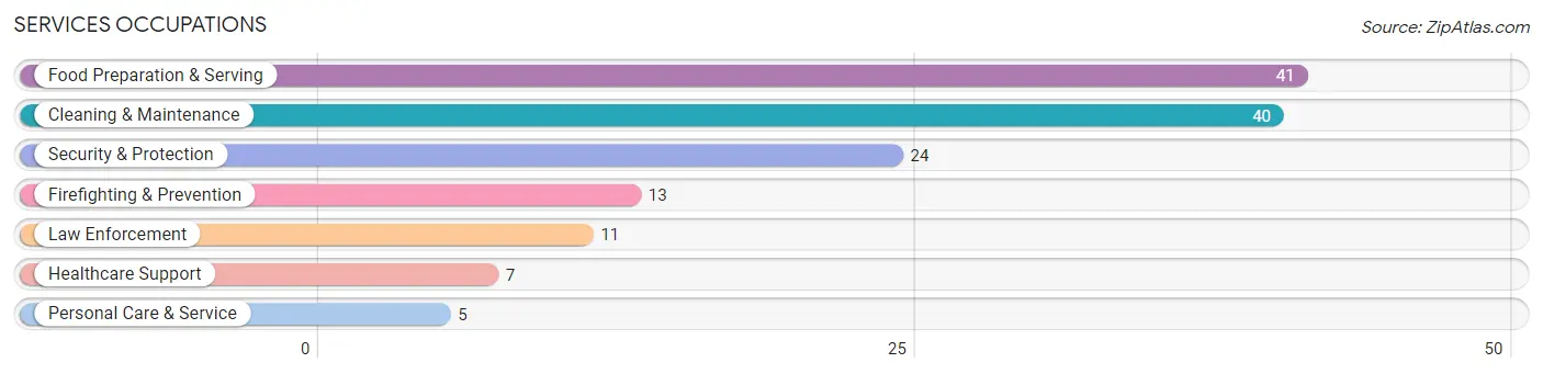 Services Occupations in Tye