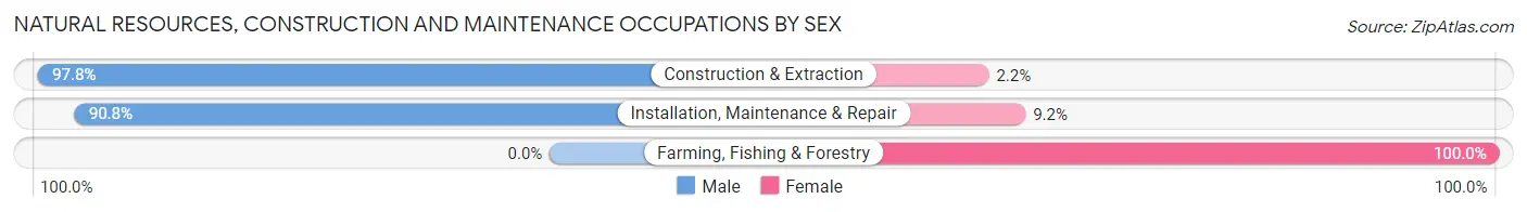 Natural Resources, Construction and Maintenance Occupations by Sex in Tyler