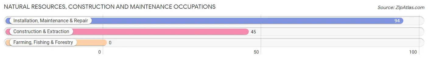 Natural Resources, Construction and Maintenance Occupations in Valley Mills