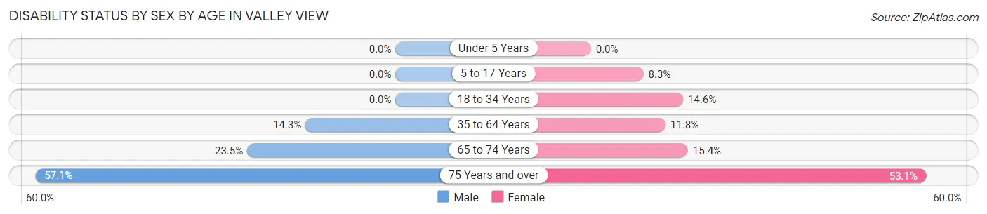 Disability Status by Sex by Age in Valley View