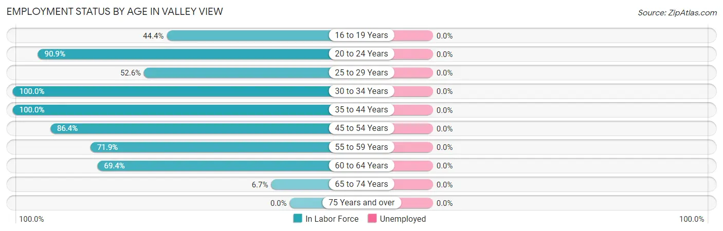Employment Status by Age in Valley View