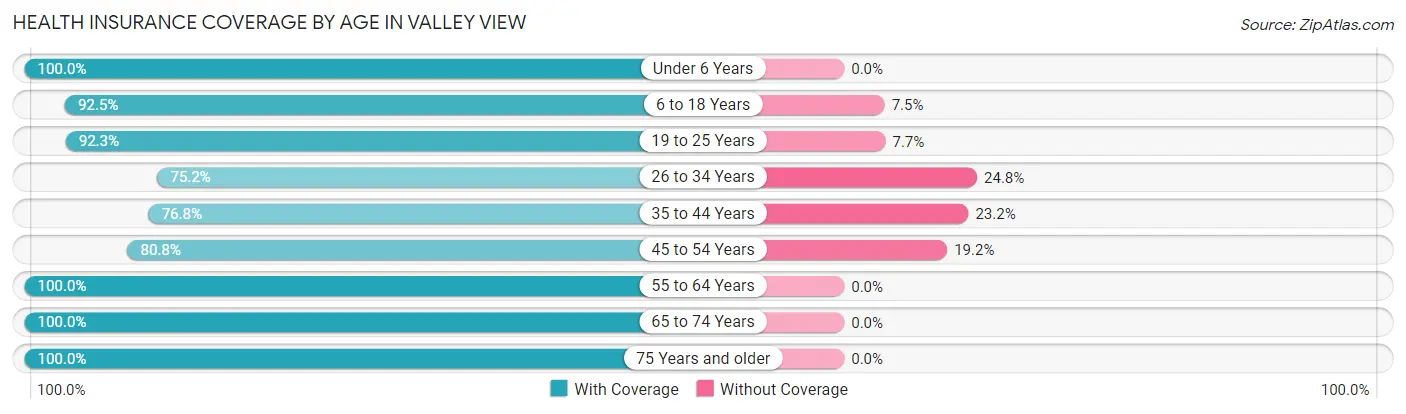 Health Insurance Coverage by Age in Valley View