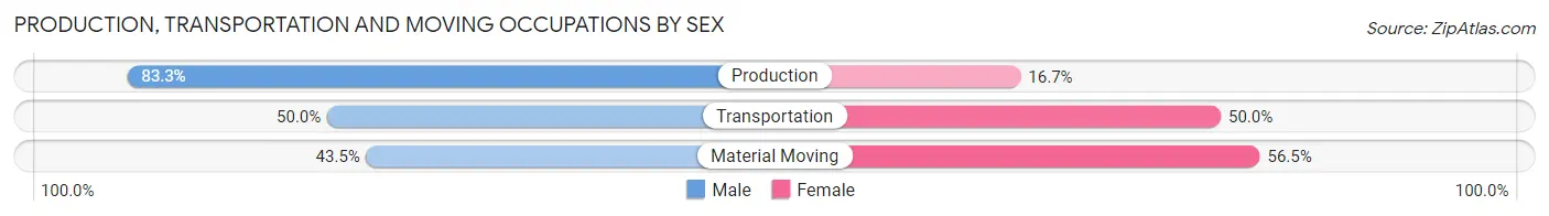 Production, Transportation and Moving Occupations by Sex in Valley View