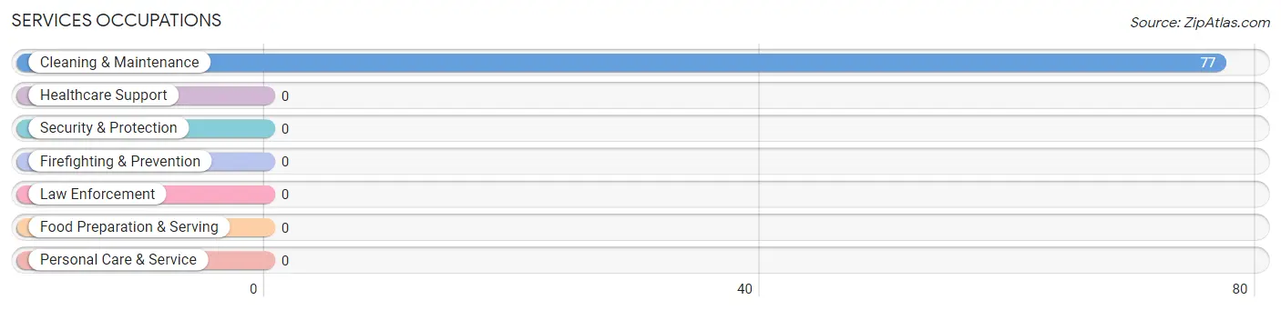 Services Occupations in Van Vleck