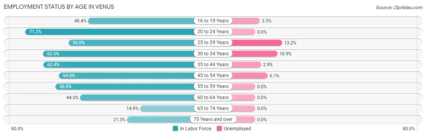 Employment Status by Age in Venus