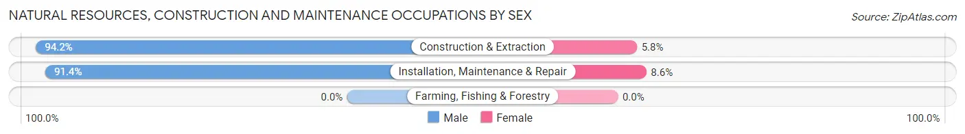 Natural Resources, Construction and Maintenance Occupations by Sex in Vidor