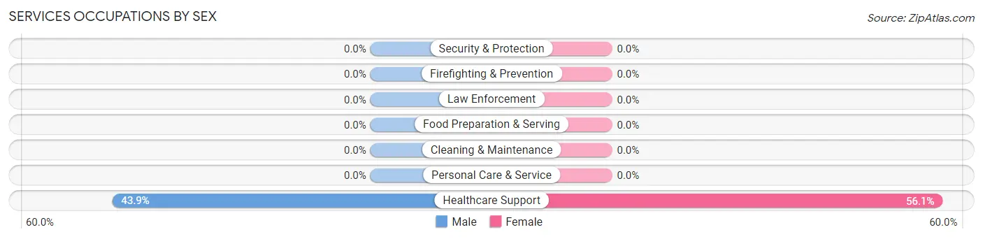 Services Occupations by Sex in Villa del Sol