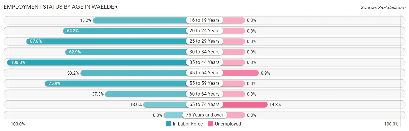 Employment Status by Age in Waelder