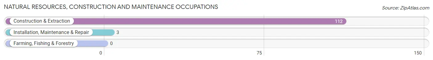 Natural Resources, Construction and Maintenance Occupations in Waelder