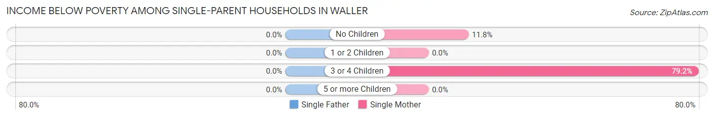 Income Below Poverty Among Single-Parent Households in Waller