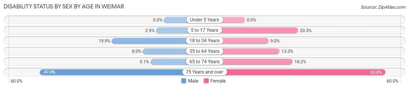 Disability Status by Sex by Age in Weimar