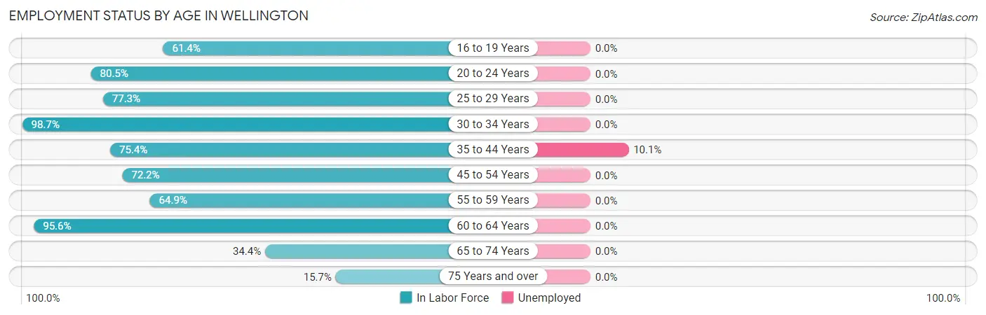 Employment Status by Age in Wellington